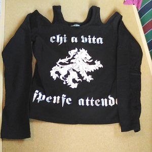 Magnifique chandail lion